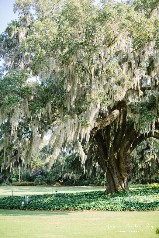 Wilmington, NC Engagement Session