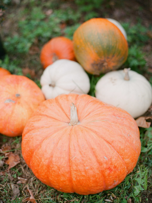 Inn at Little Washington Wedding_Outdoor Fall Wedding Virginia