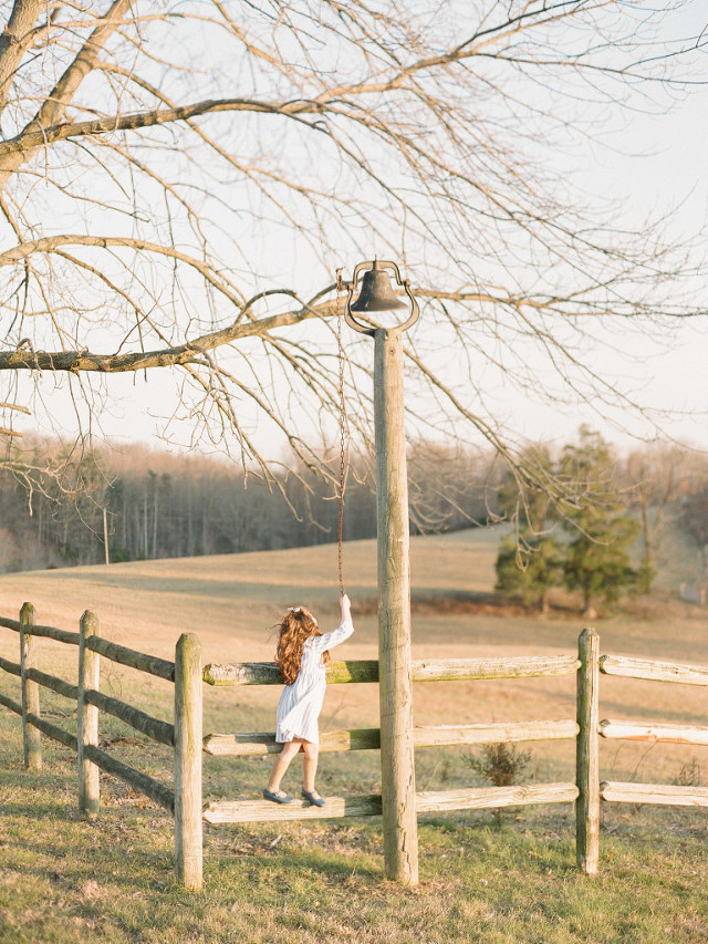 Virginia Film Family Photographer