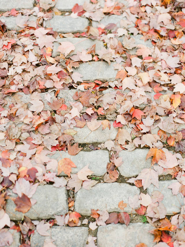 Baltimore Wedding Photographer